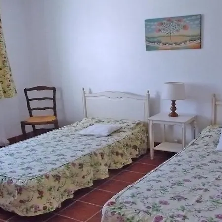 Apartment Les Dauphins